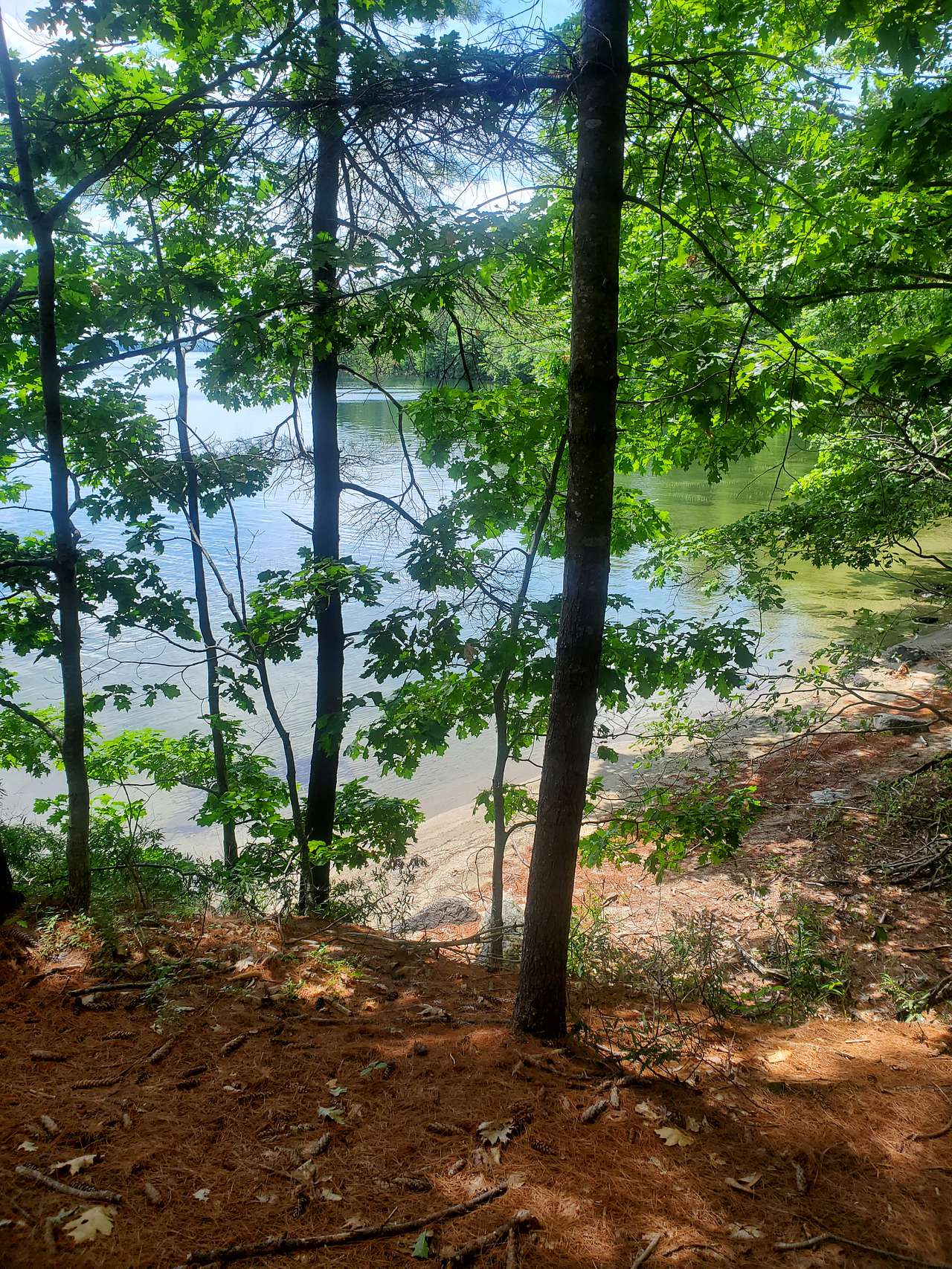 Picture of the site