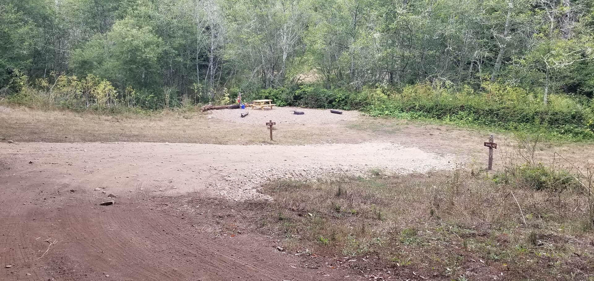 Picture of the site
