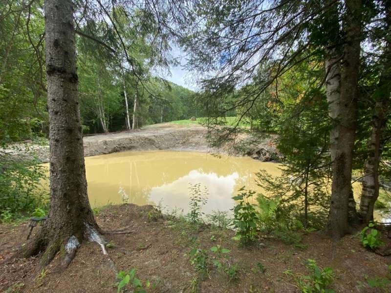 Picture of the site