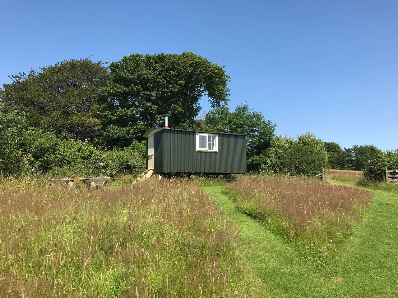 Picture of the site