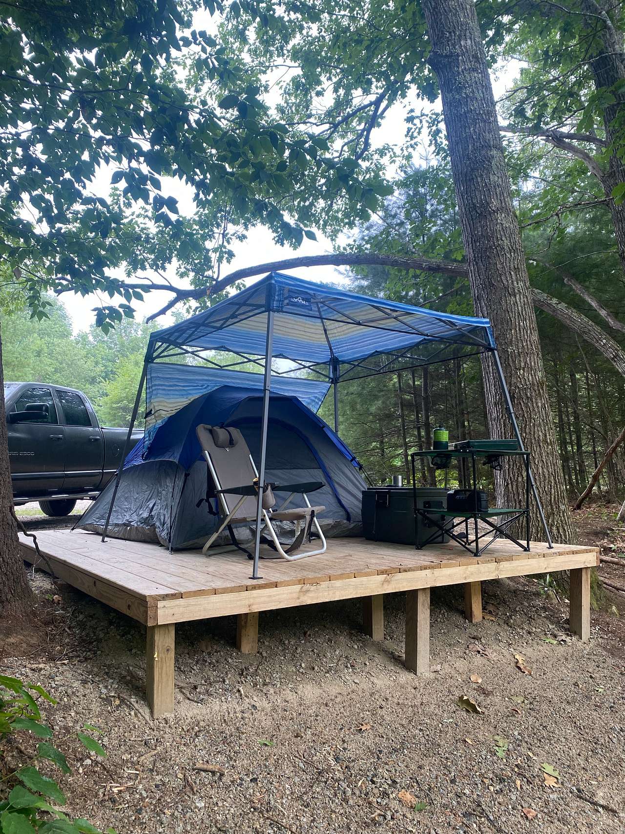 Picture of the site