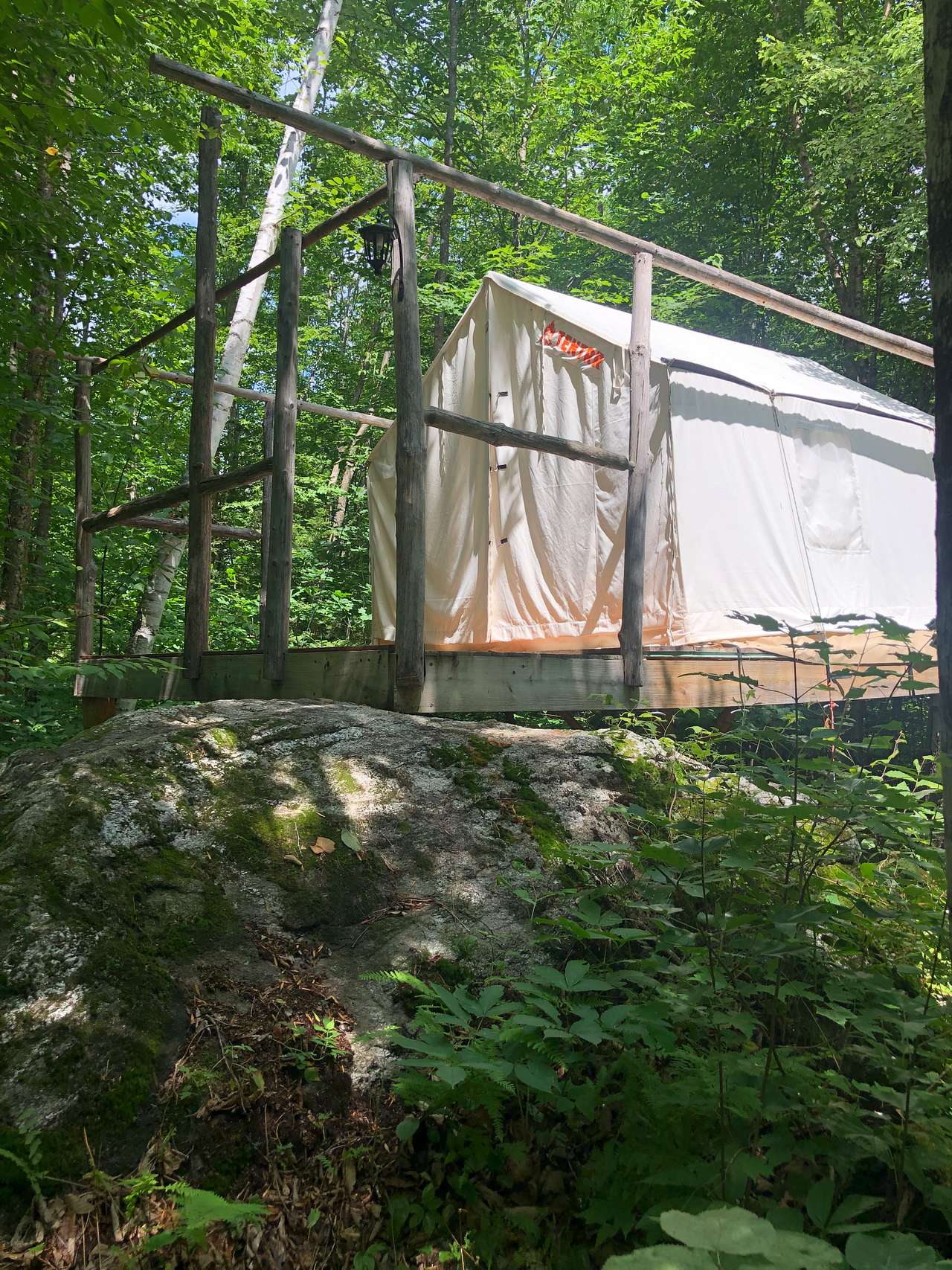 Picture of the site