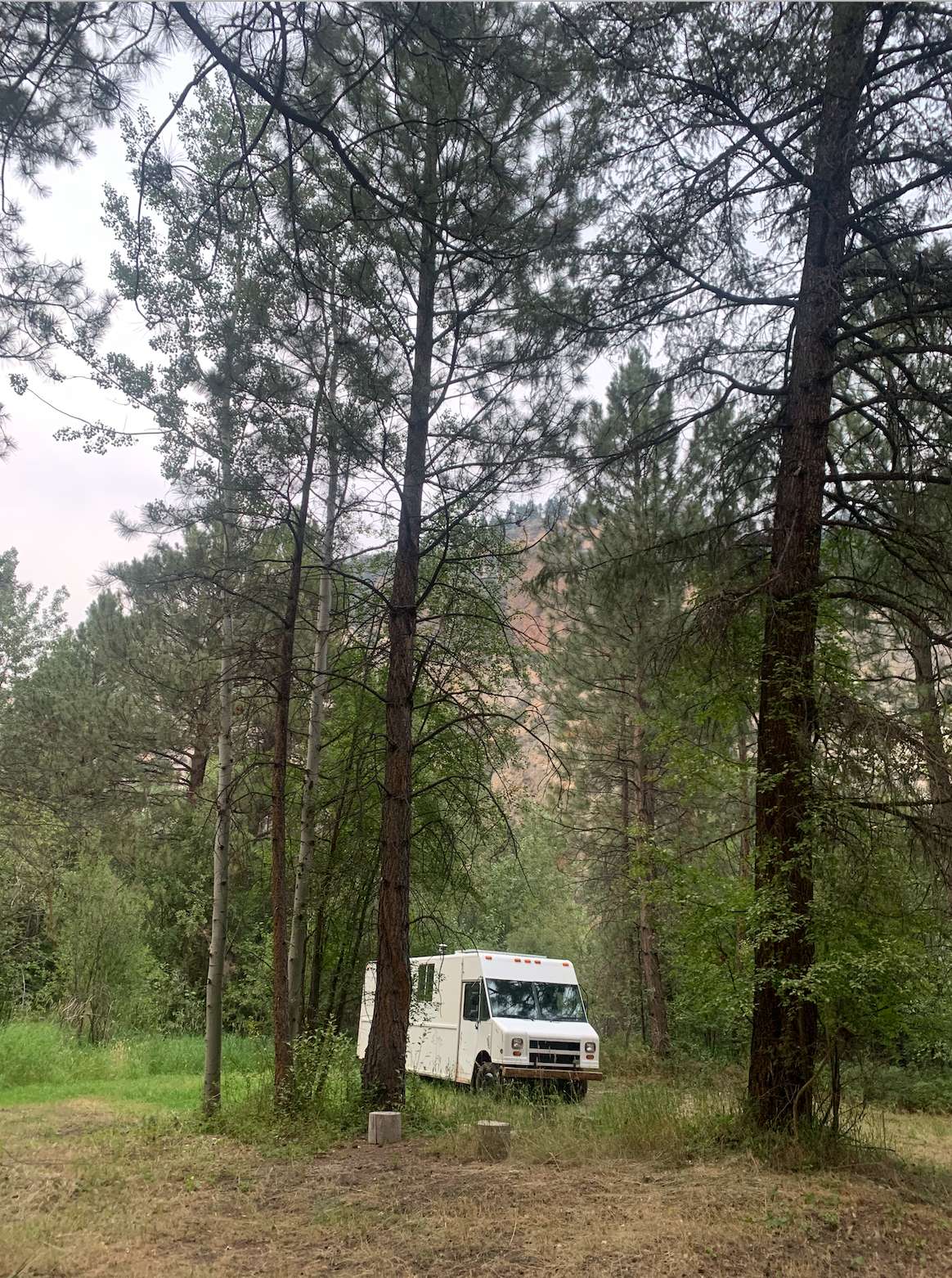 There are lots of beautiful trees to provide shade.