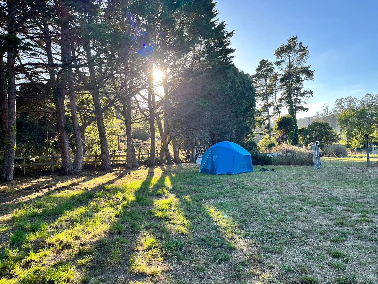 Picture of the site