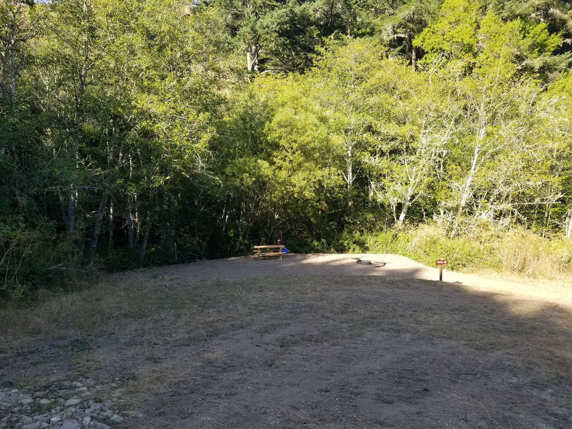 Picture of the site