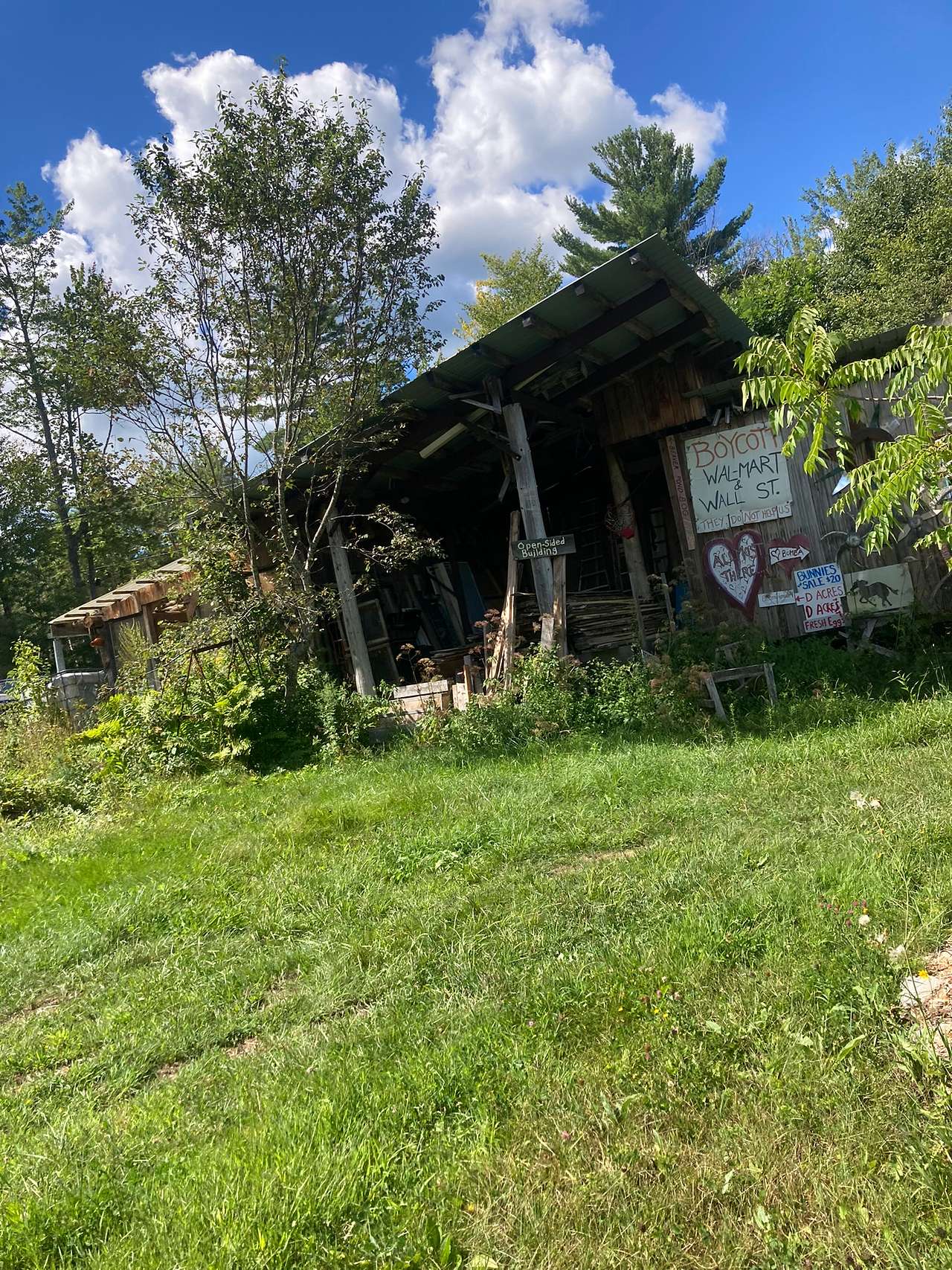 Picture of the site