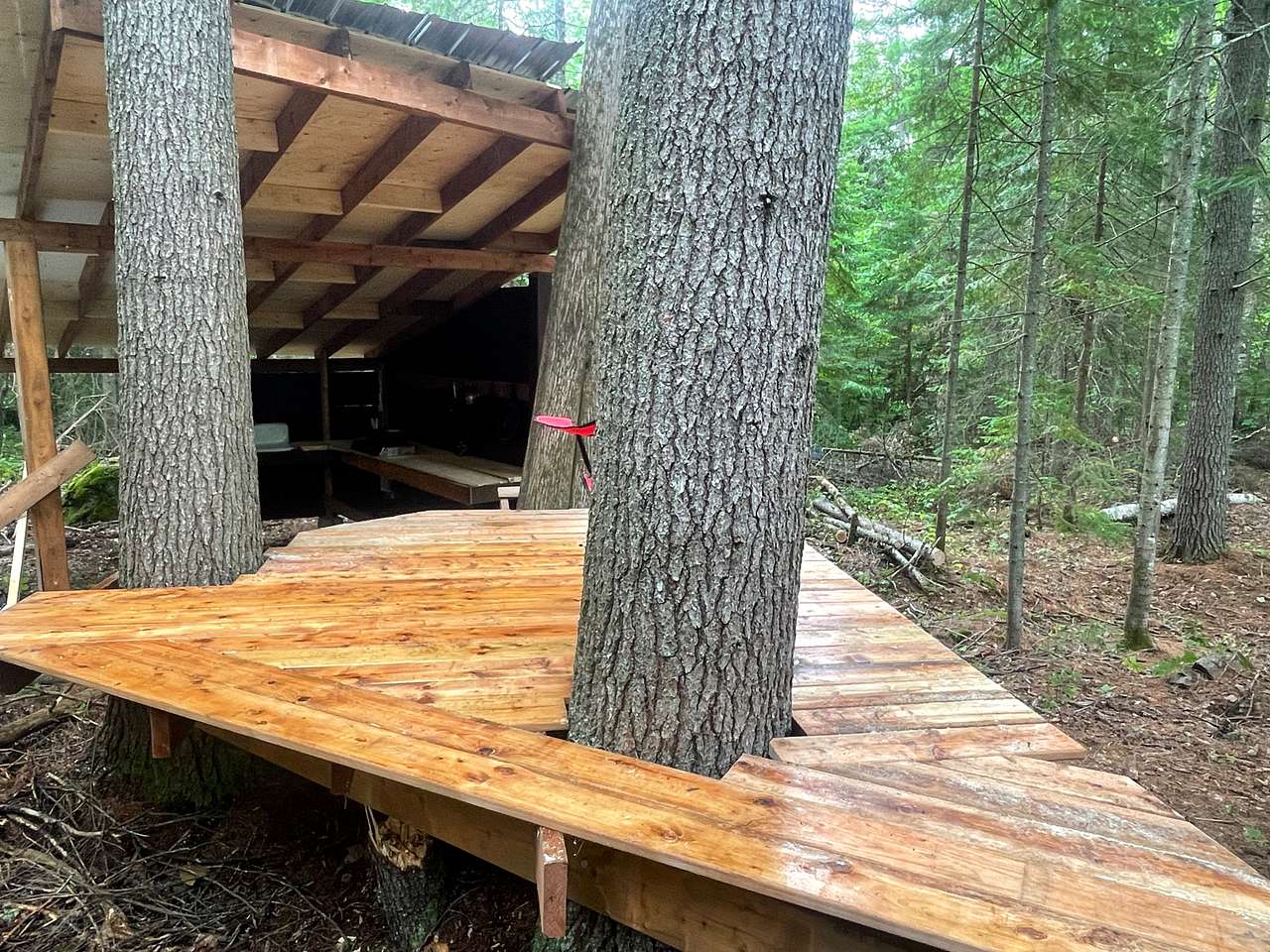 Picture of the site