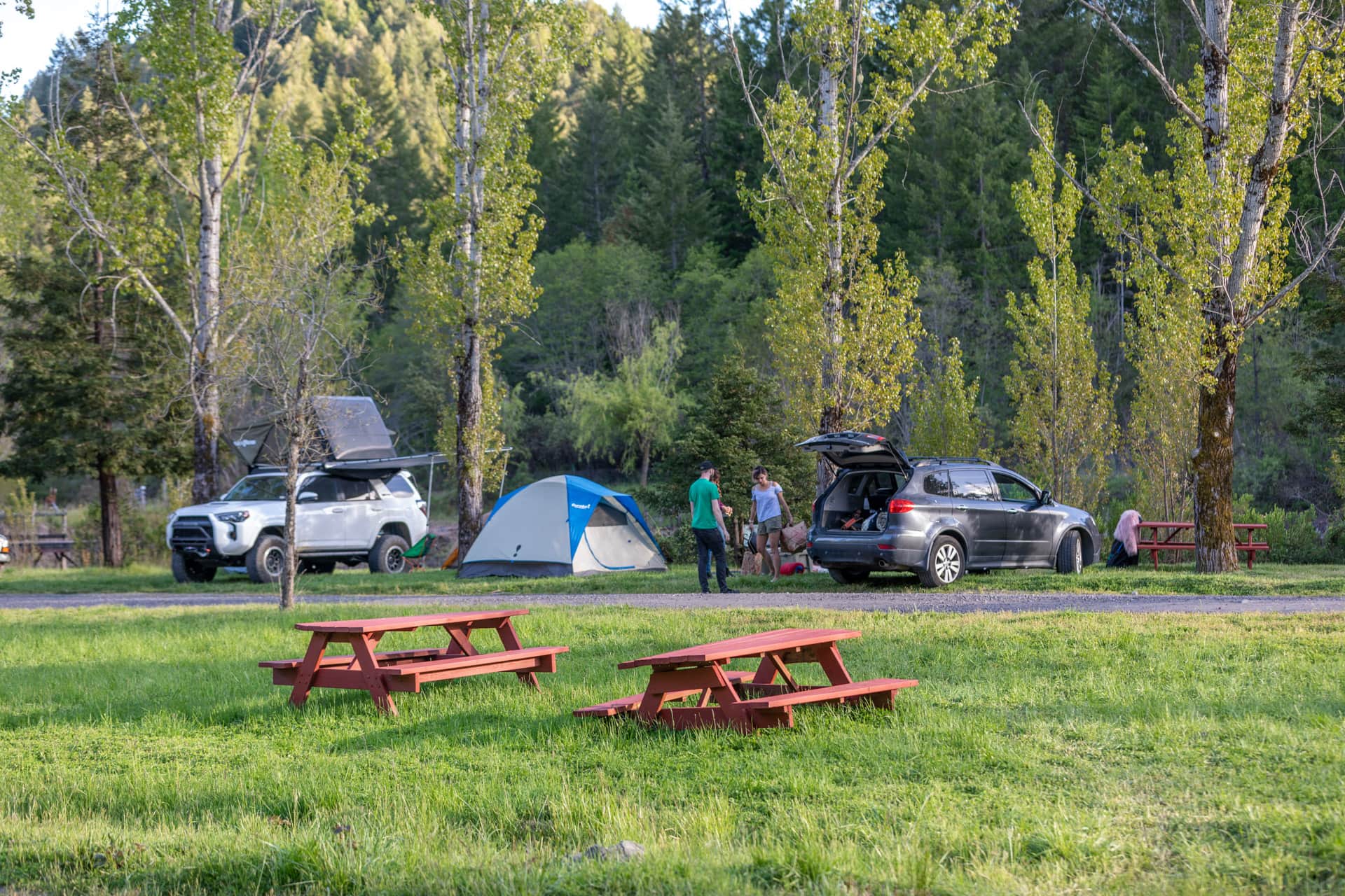 Picture of the site