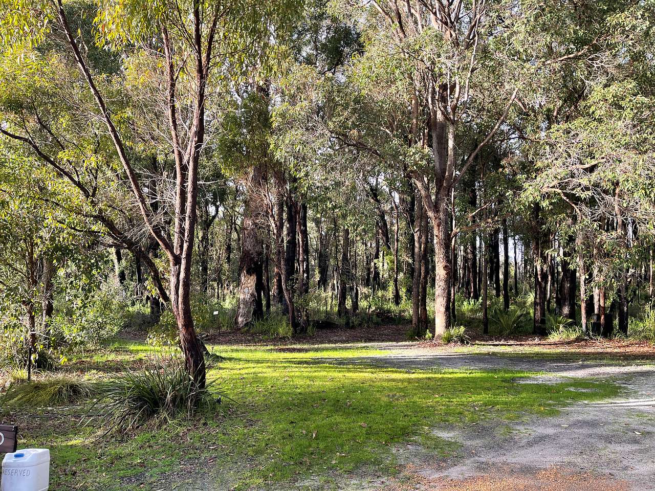 Picture of the site