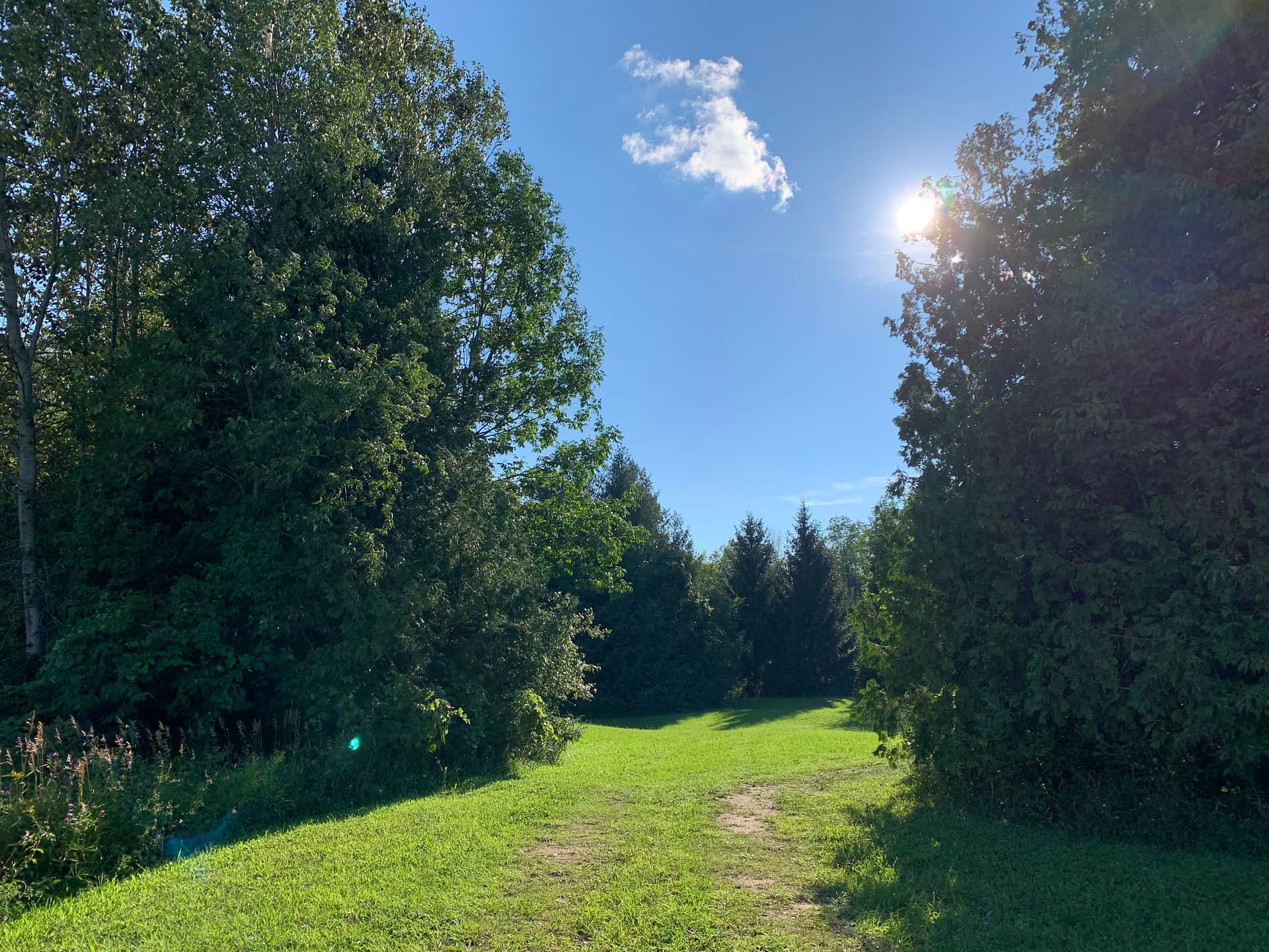 Picture of the site