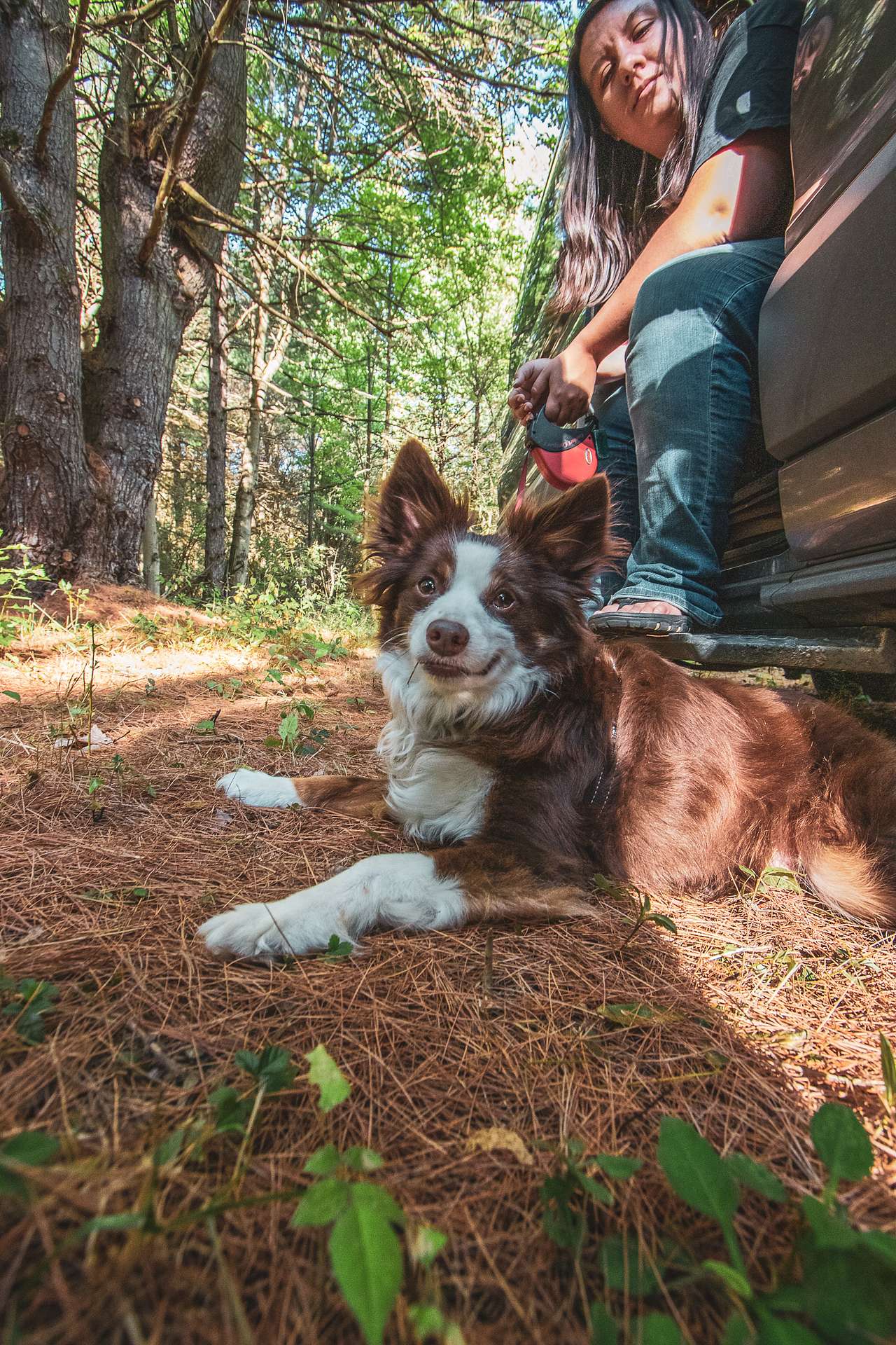 Pet-friendly Hipcamp!
