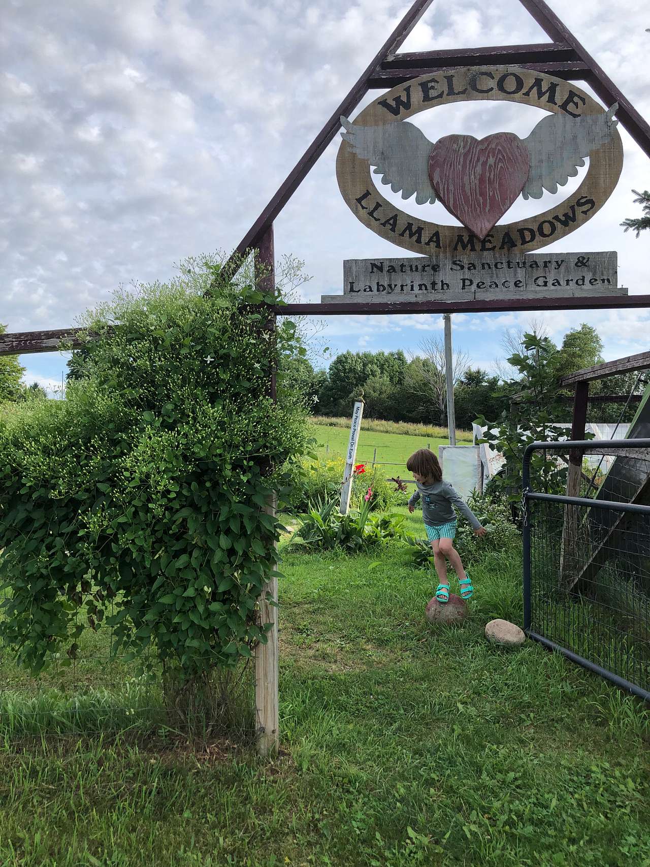 Picture of the site