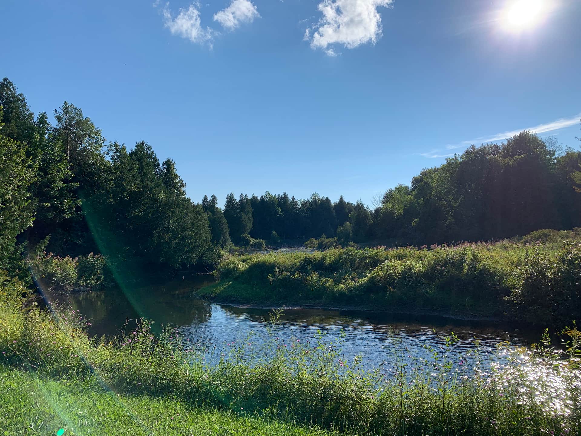 Picture of the site