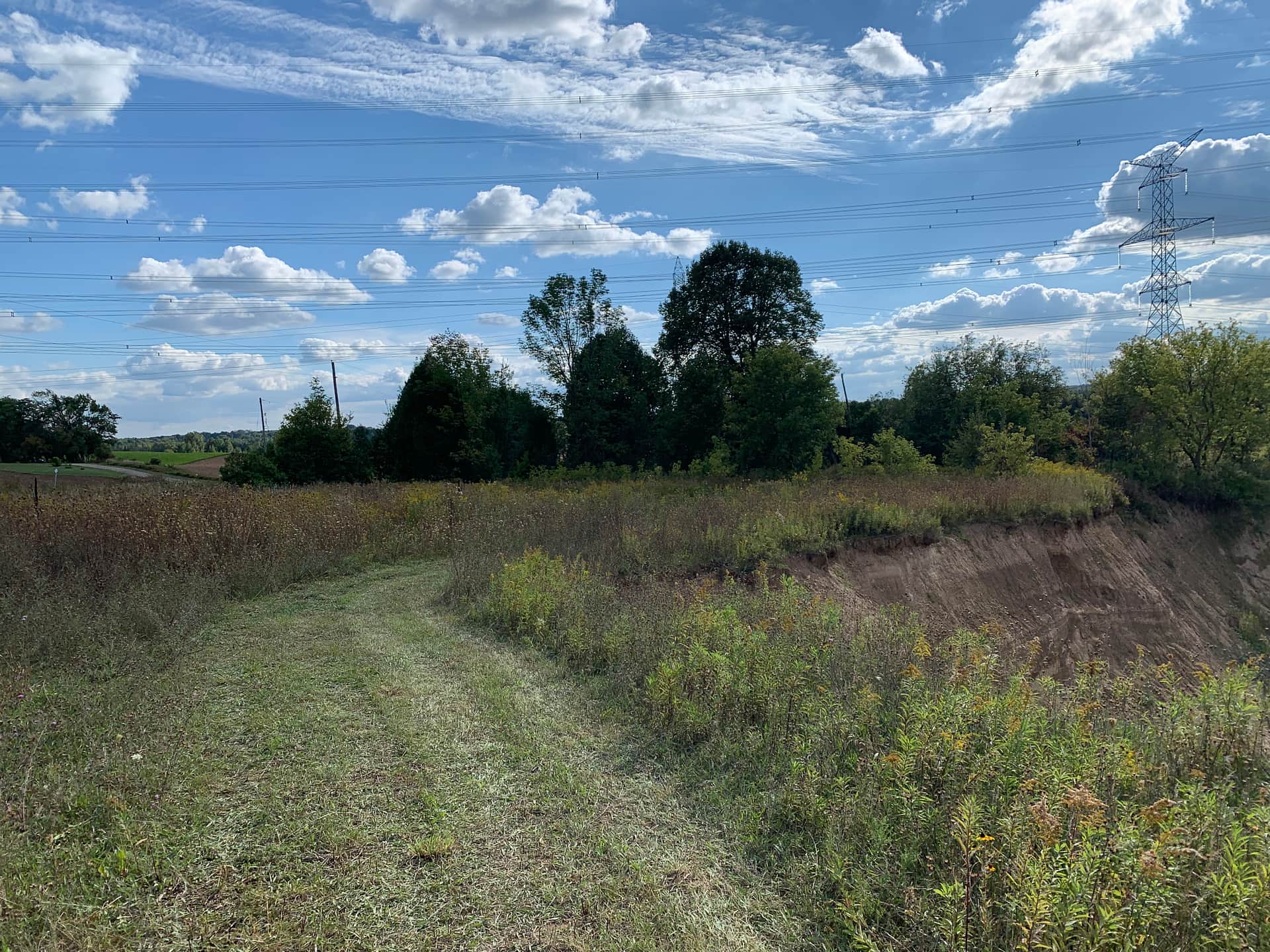 Picture of the site