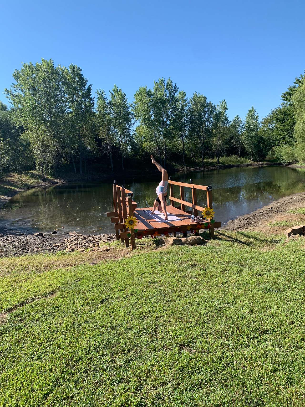 Picture of the site