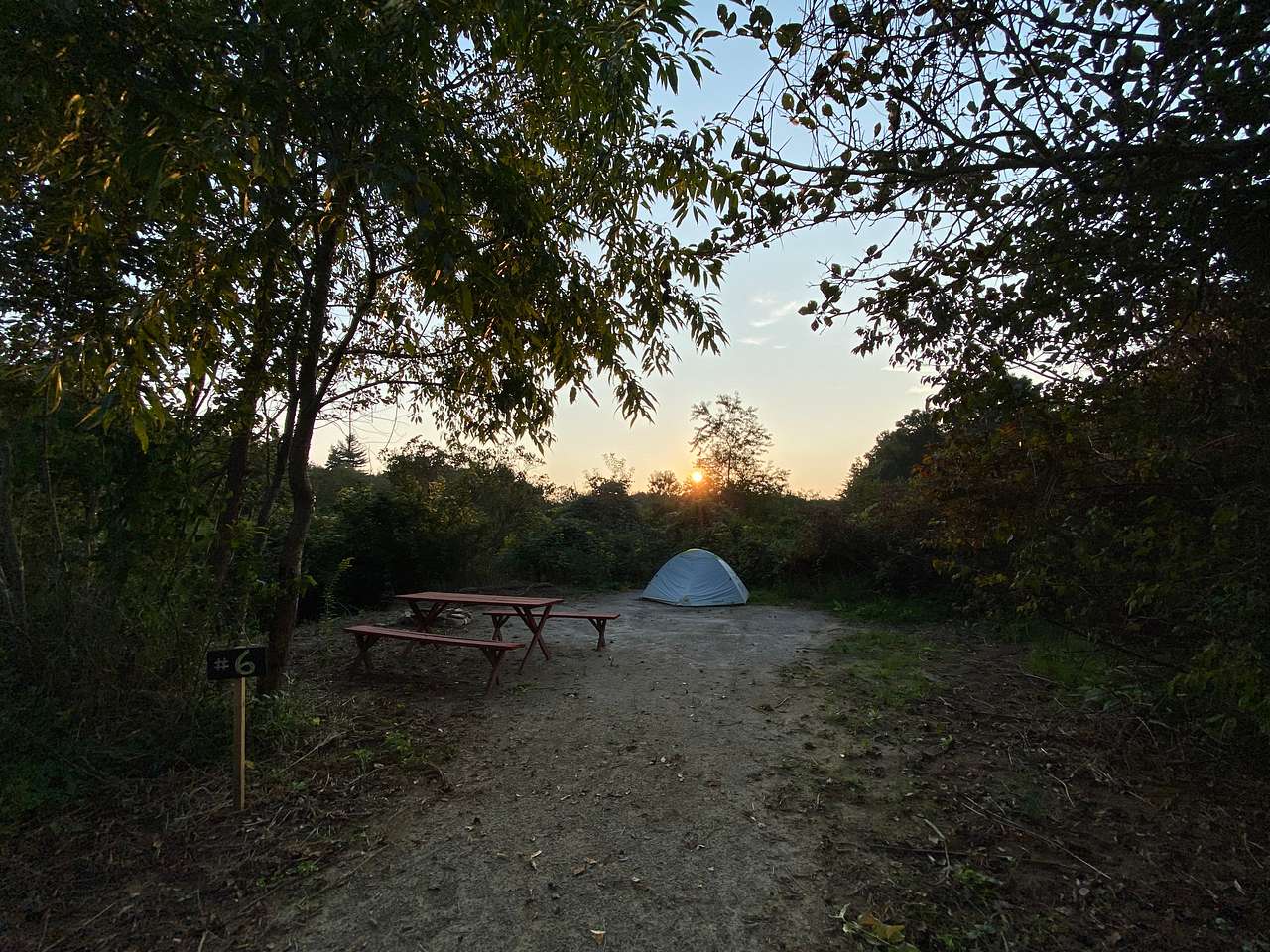 Picture of the site