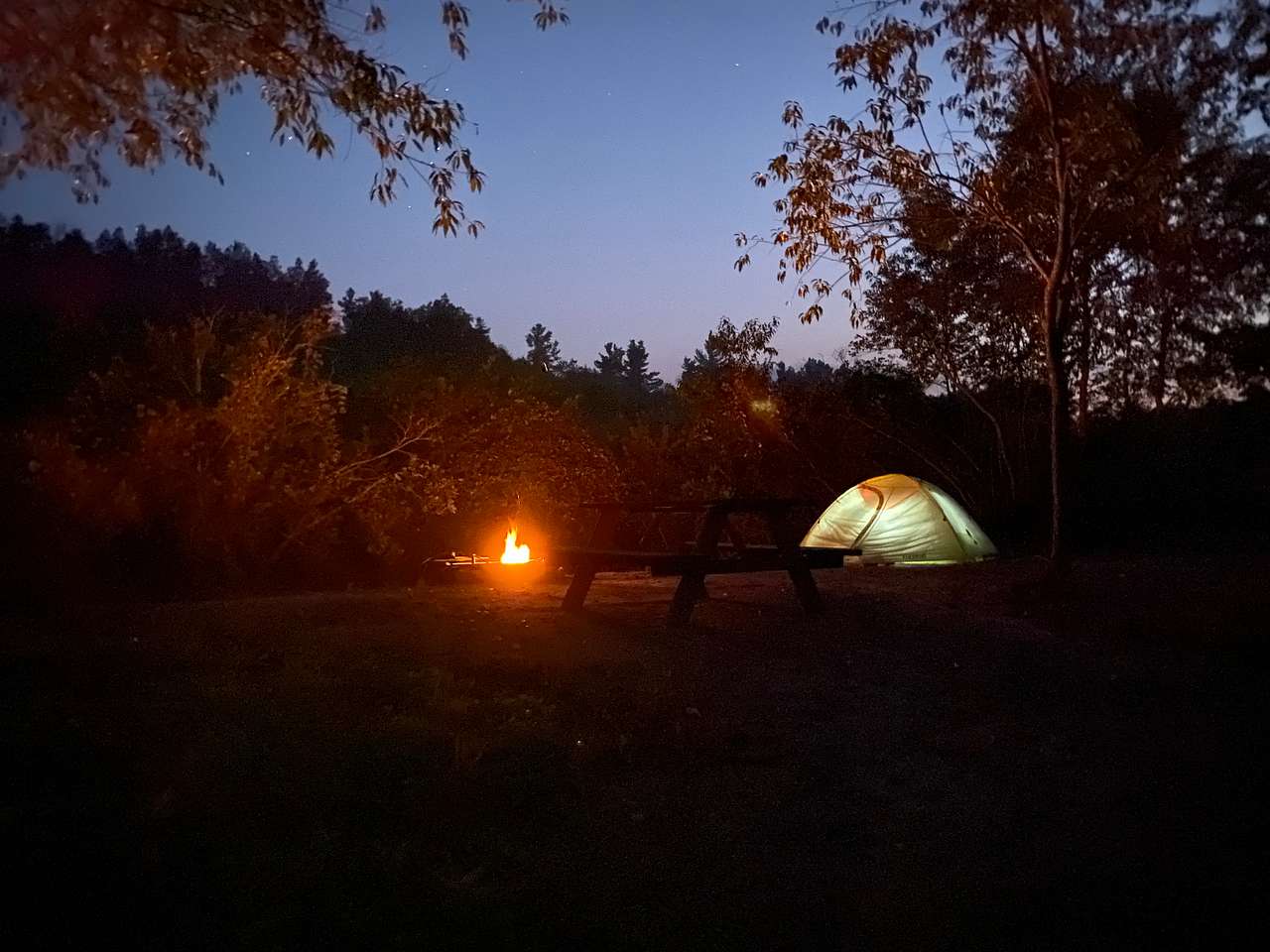 Picture of the site