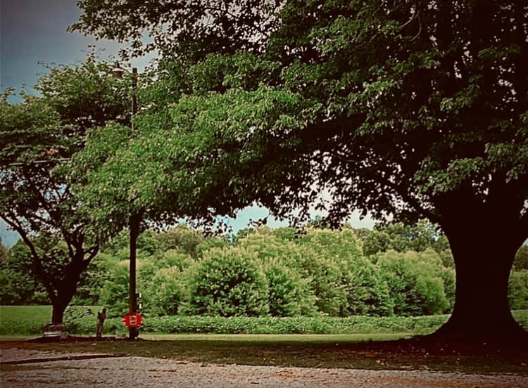 Picture of the site