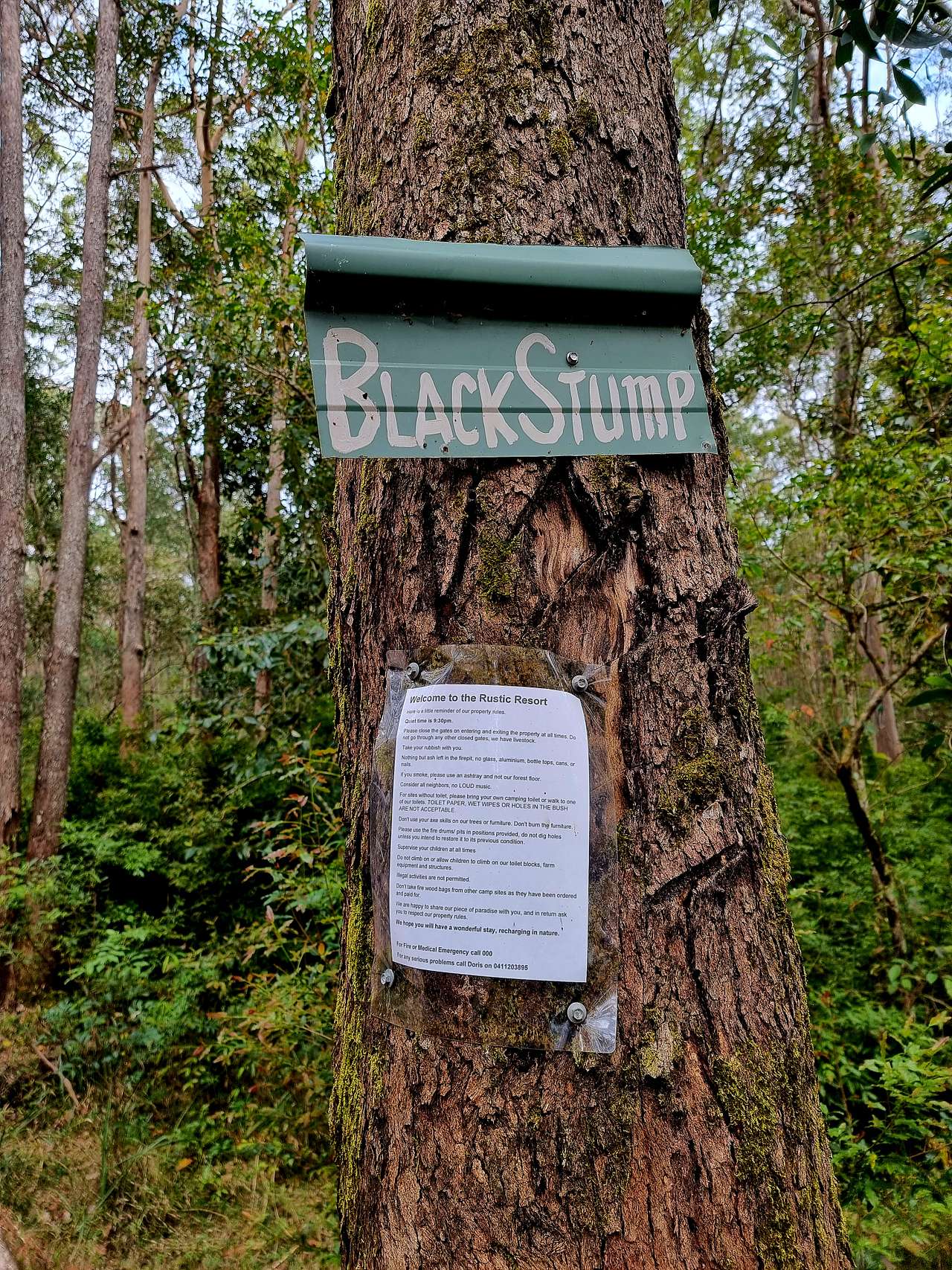Picture of the site