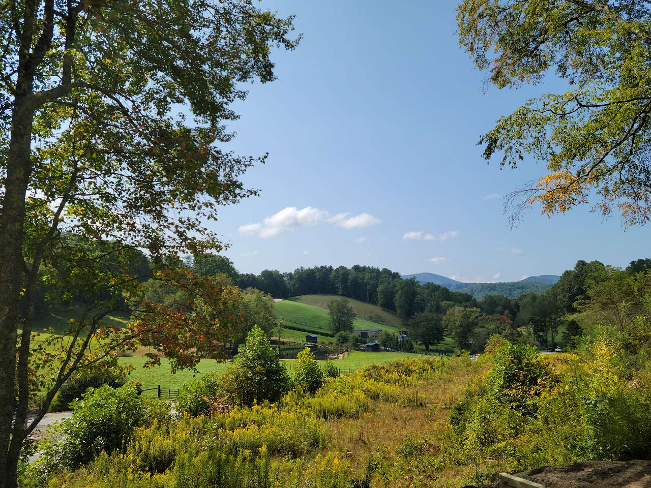 Picture of the site