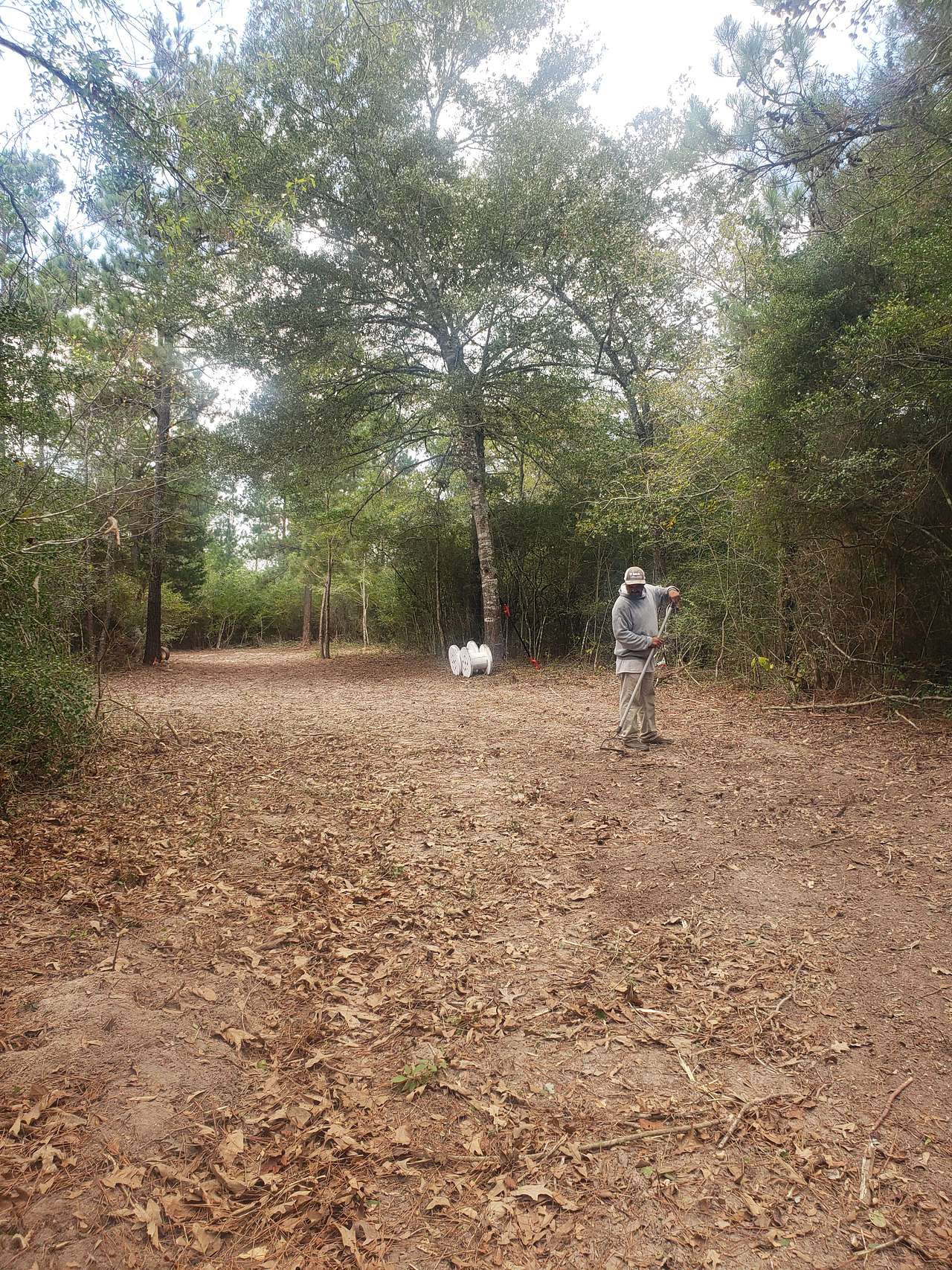 Picture of the site