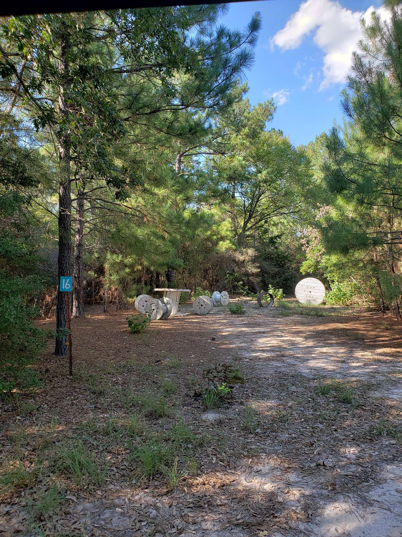 Picture of the site