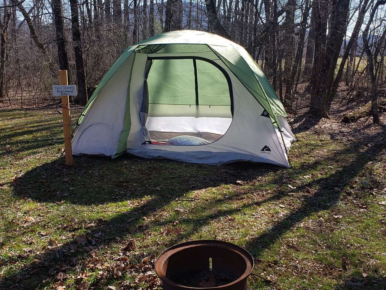 Picture of the site
