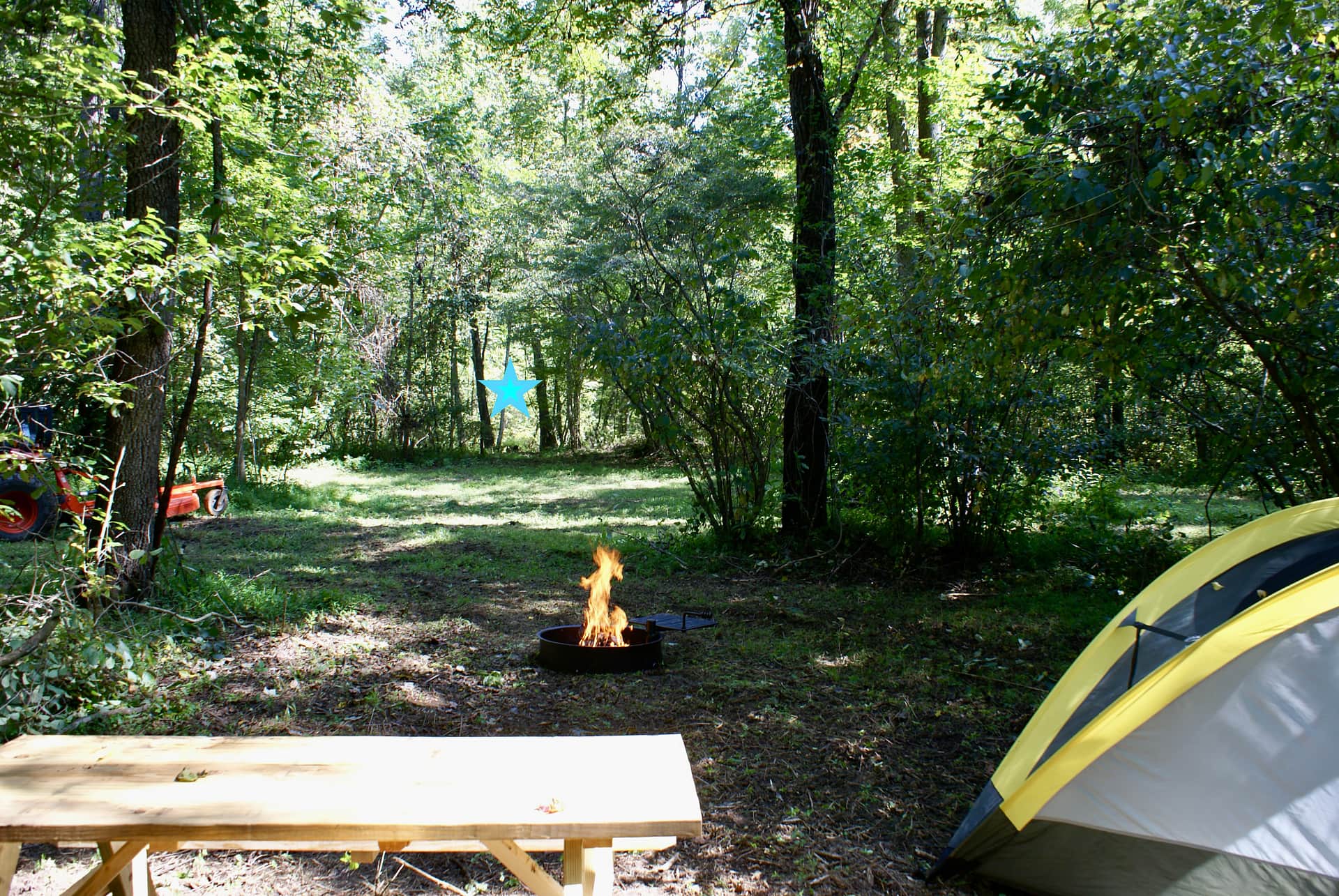 Picture of the site