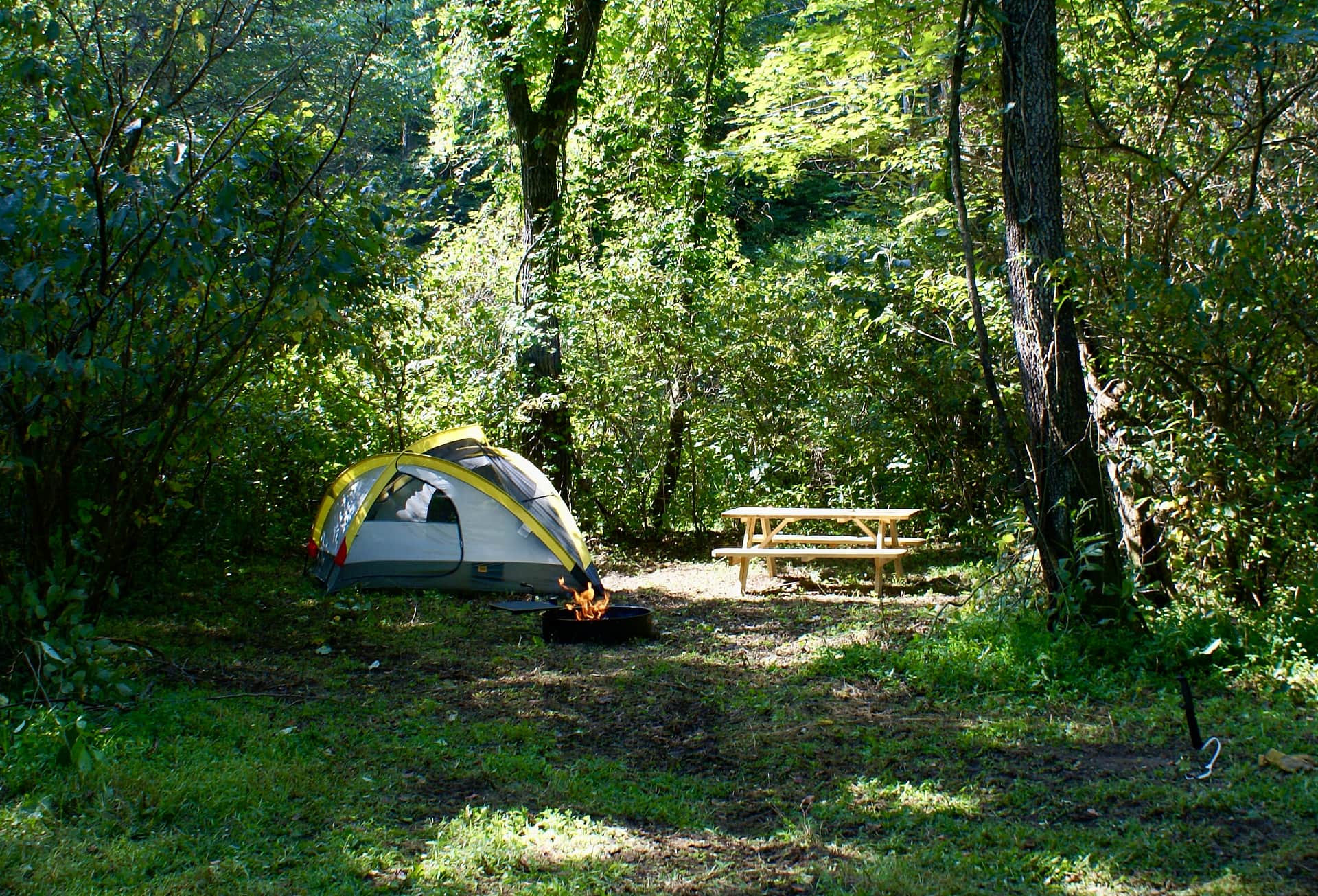 Picture of the site