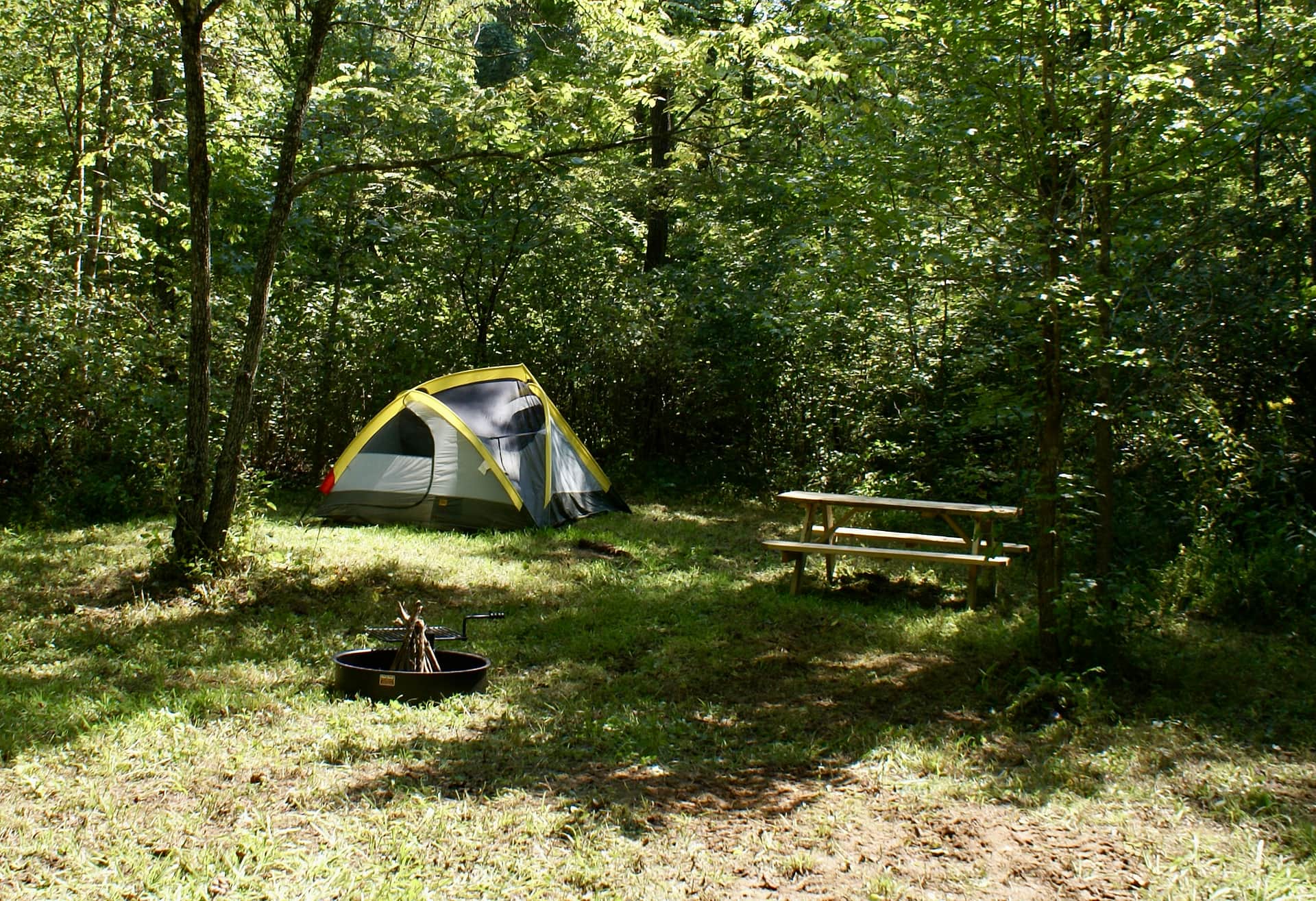 Picture of the site
