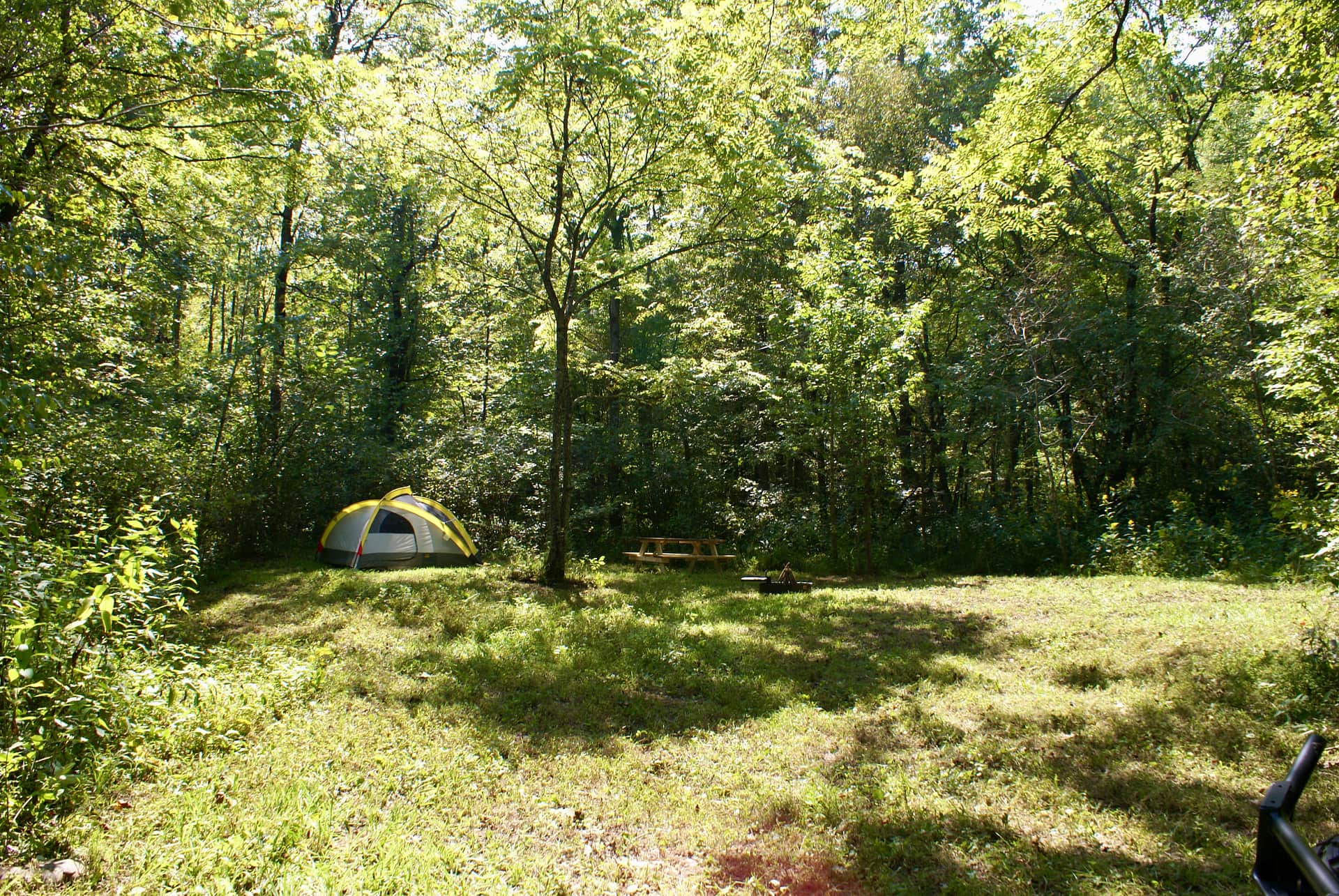 Picture of the site