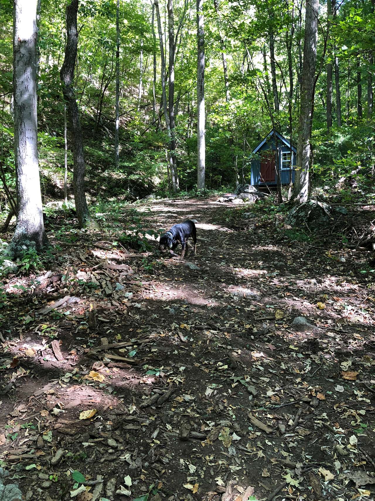 View pets photos of Meili Mtn - Tye River Escape