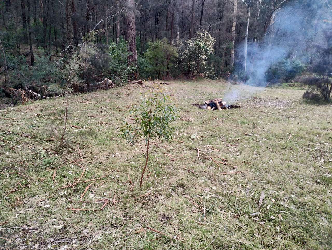 Picture of the site