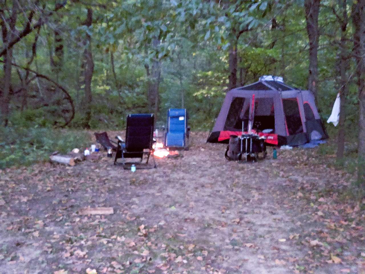 Picture of the site