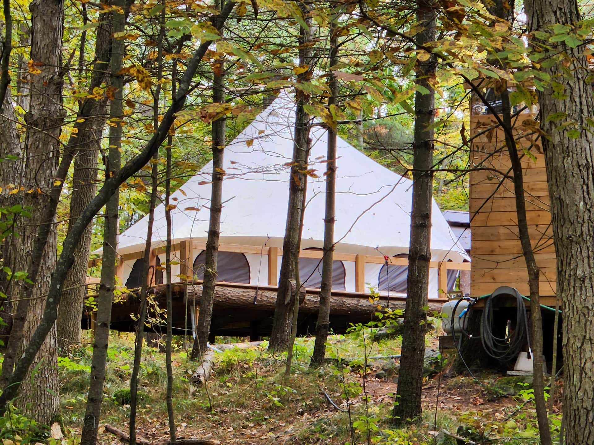 Picture of the site
