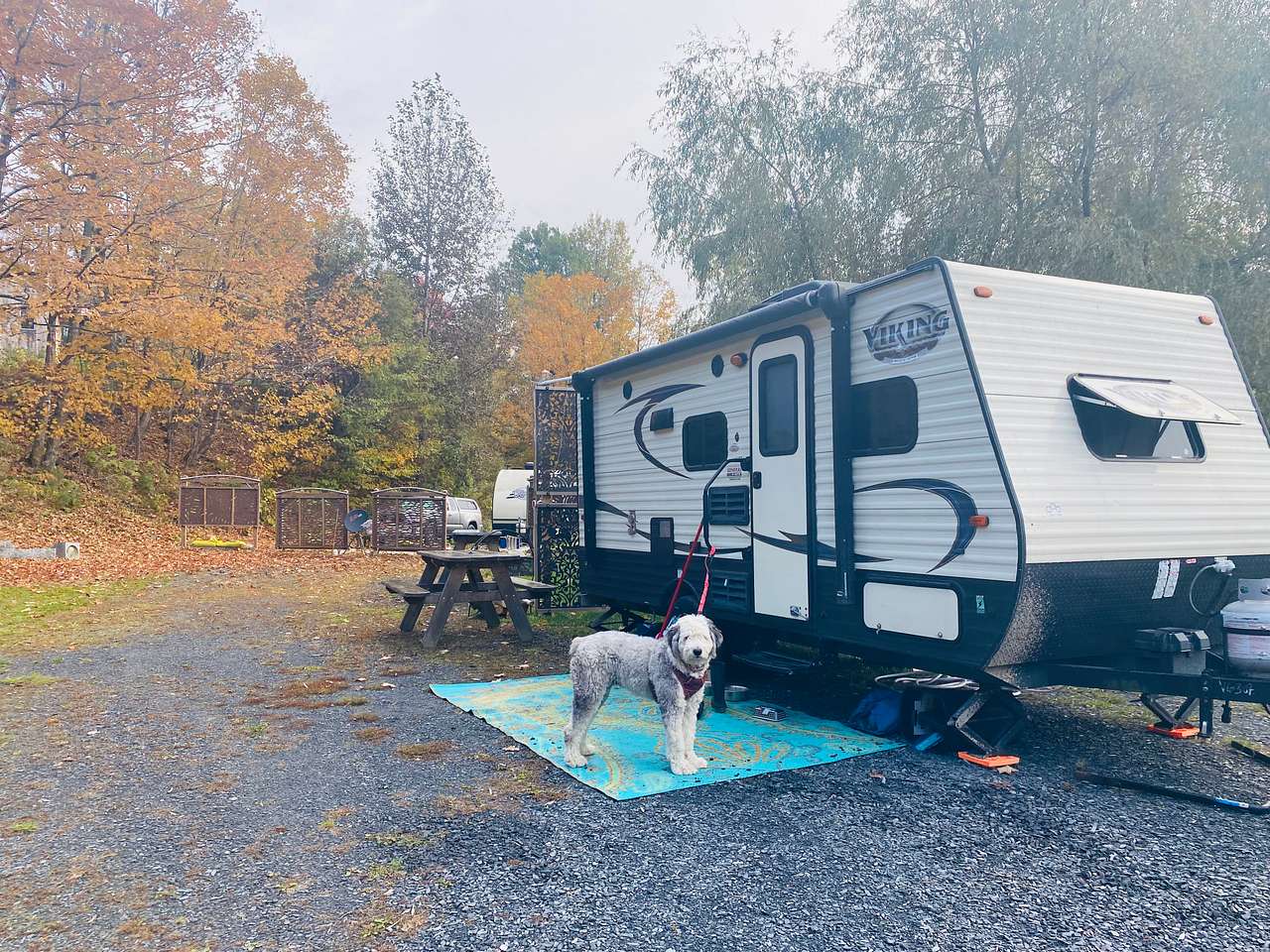 View pets photos of Woodbury Meadows