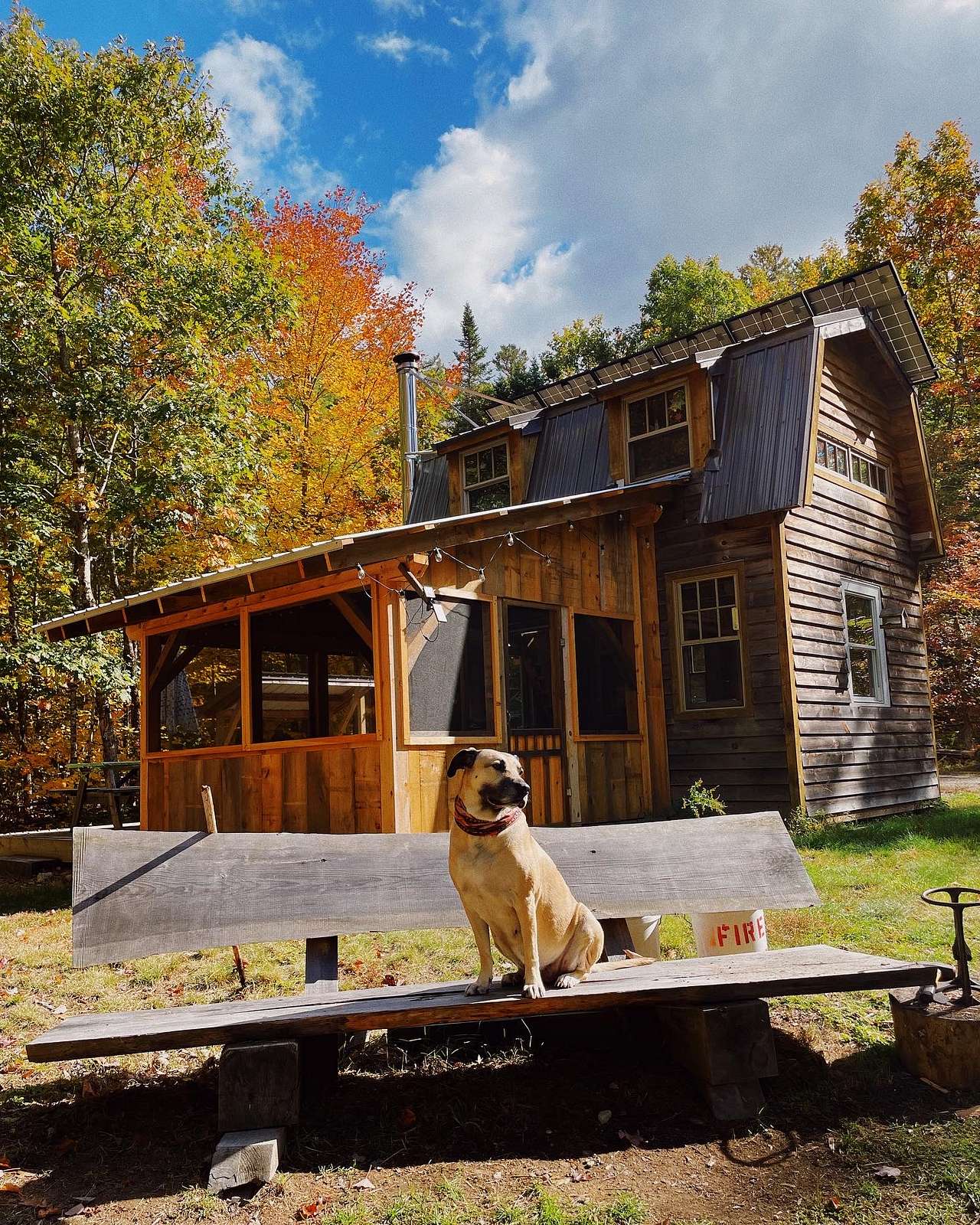 View pets photos of Raven's Rest Tiny Cabin