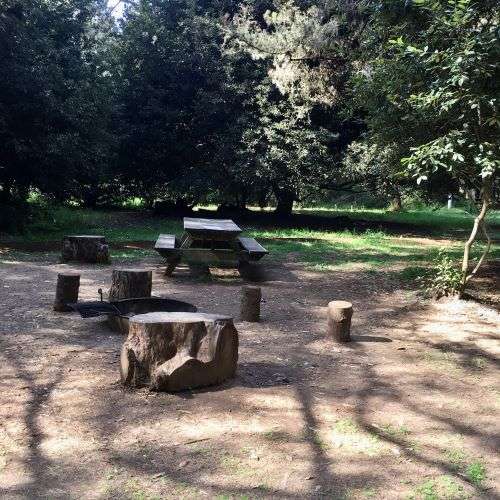 Picture of the site