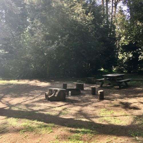 Picture of the site