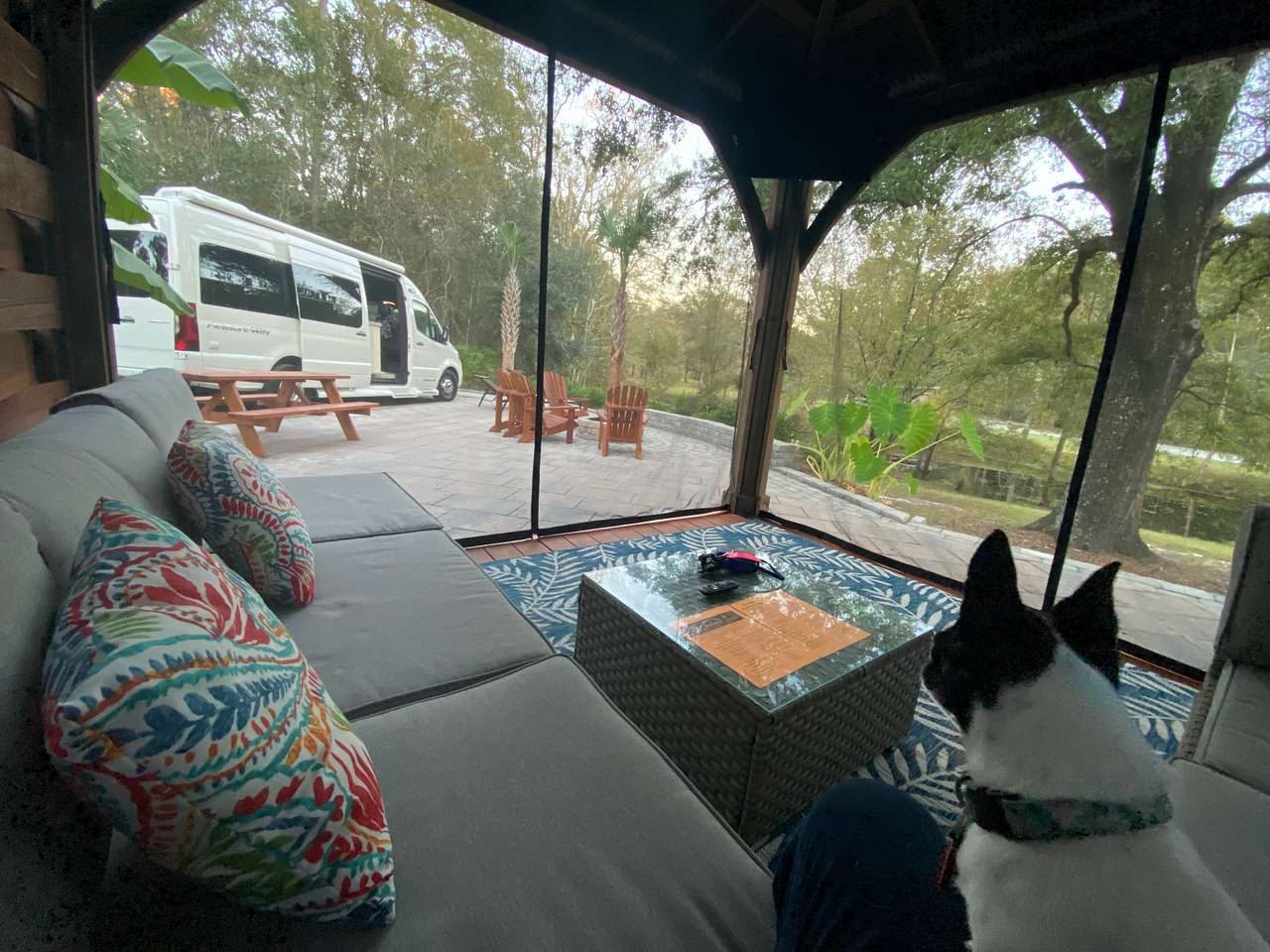 Gorgeous screened lanai with L shaped sofa and tv!