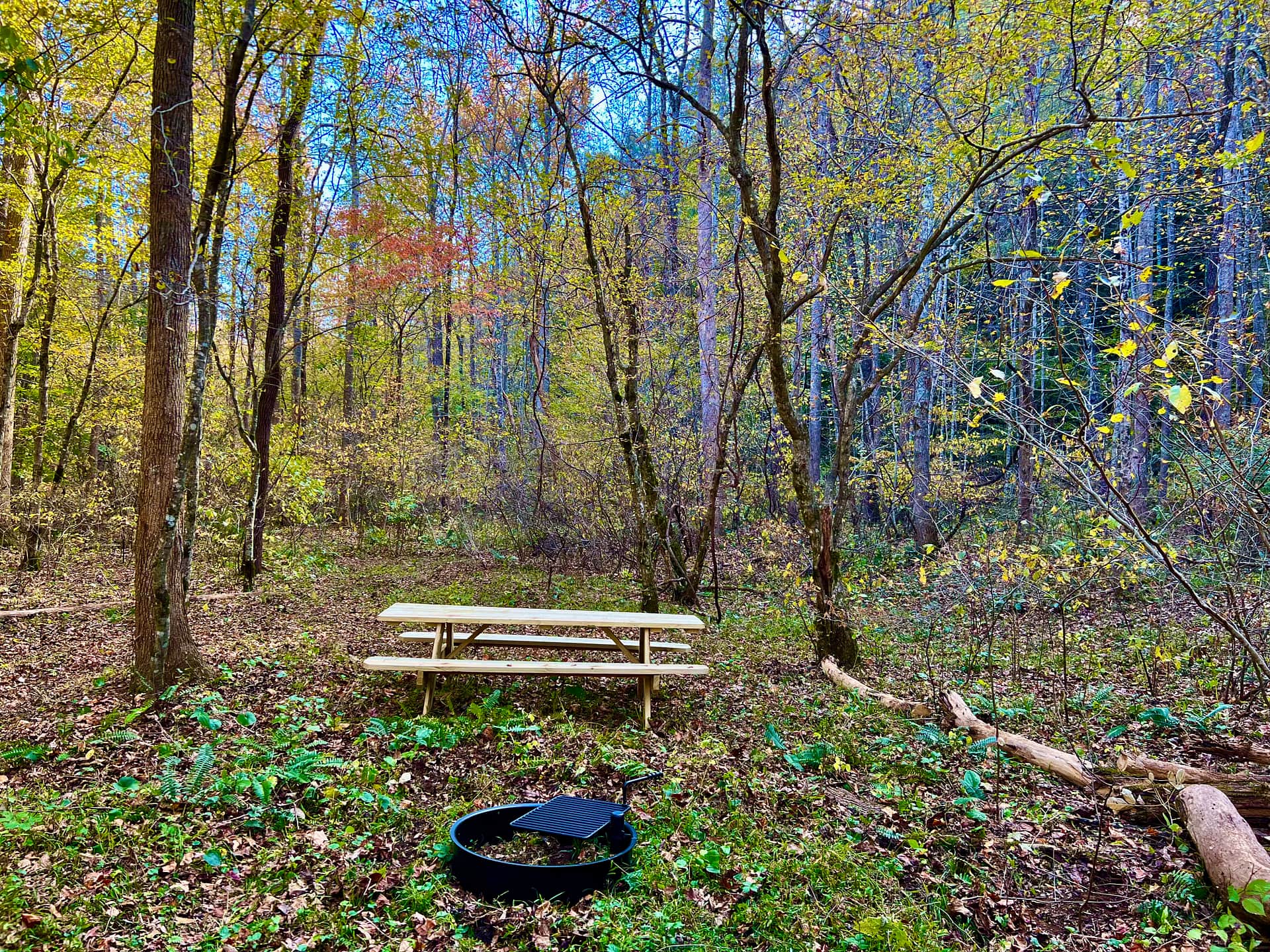 Picture of the site