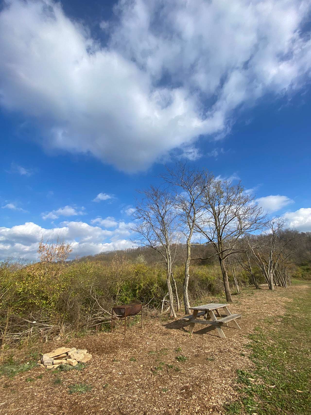 Picture of the site