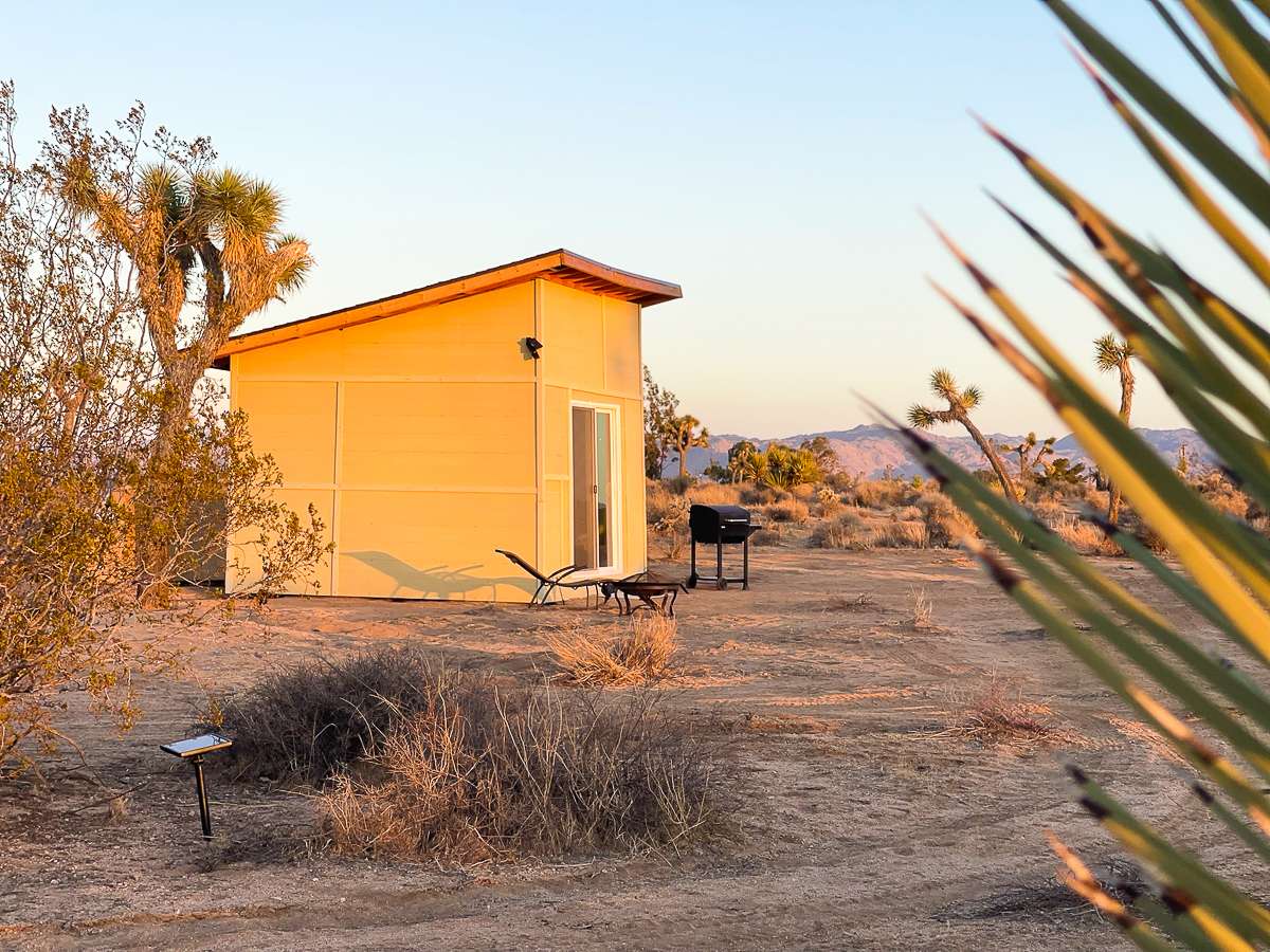 View more photos of Songbird at Joshua Tree