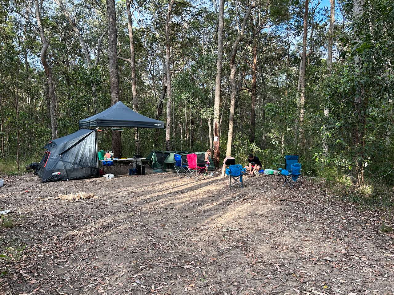 Picture of the site