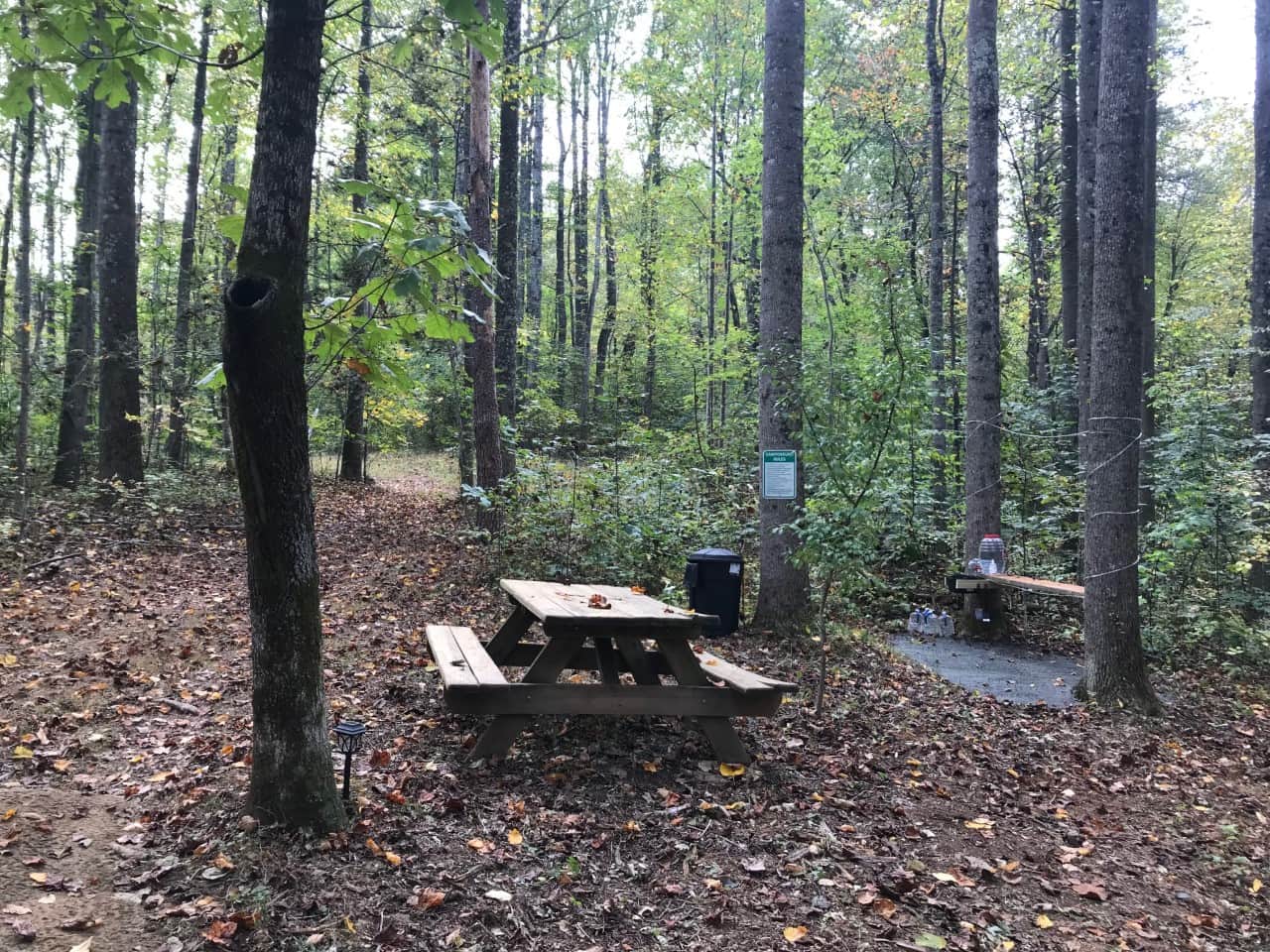 Picture of the site