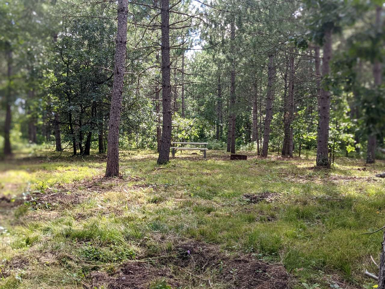 Picture of the site