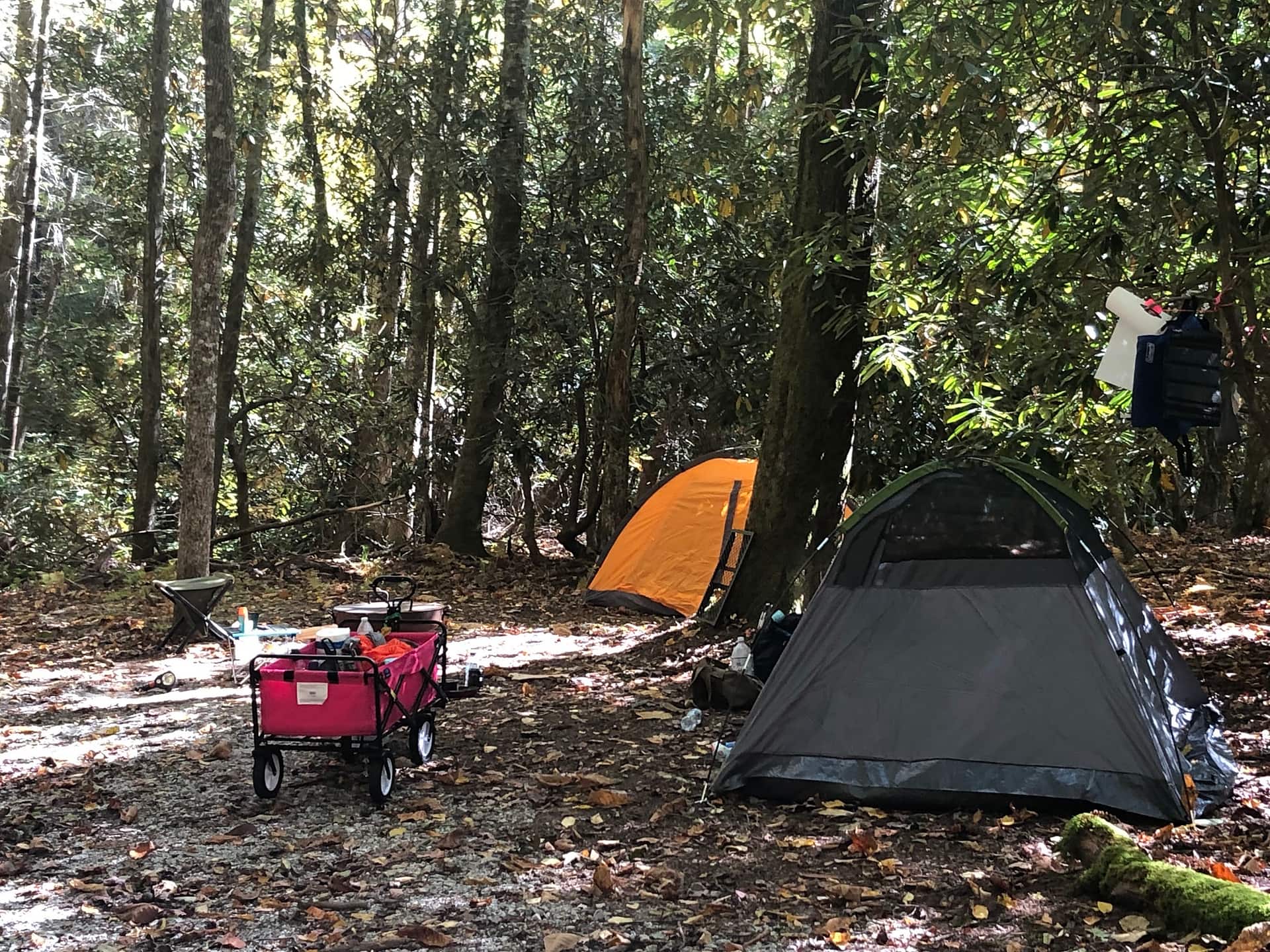Picture of the site