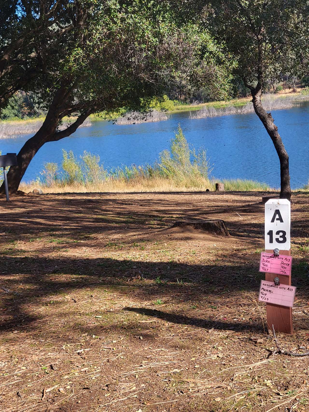 Picture of the site