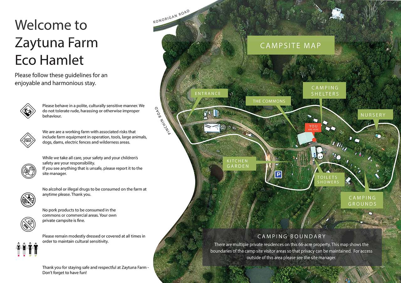 Picture of the site