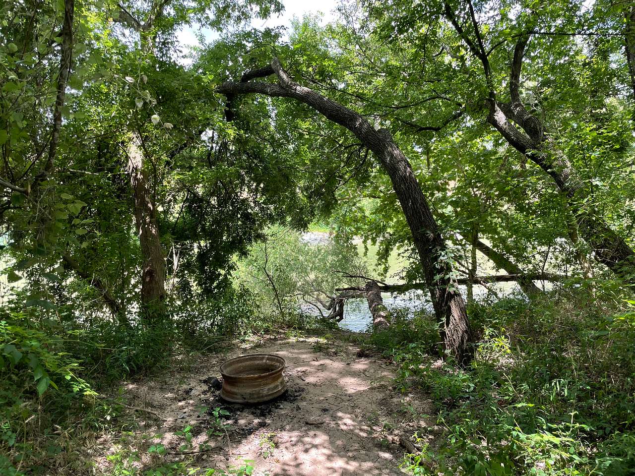 Picture of the site